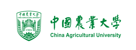 伙伴